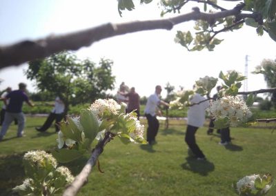 Corso Istruttori Tai Chi Chuan