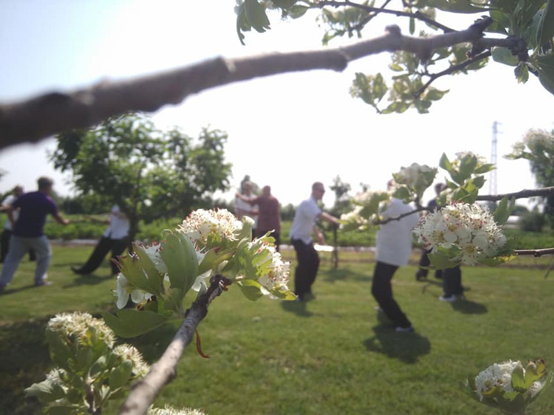 Corso Istruttori Tai Chi Chuan