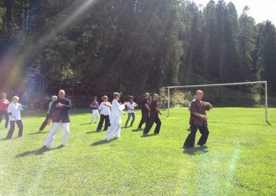 Forma 37 Tai Chi Chuan Cheng Man Ching