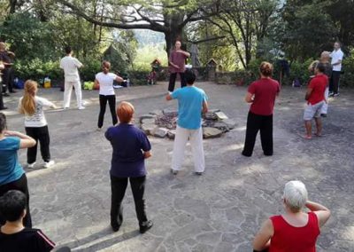 Forma 37 Tai Chi Chuan Cheng Man Ching