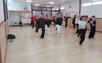 Dall’Interno all’Esterno: Tai Chi Chuan Energetic-Martial Training