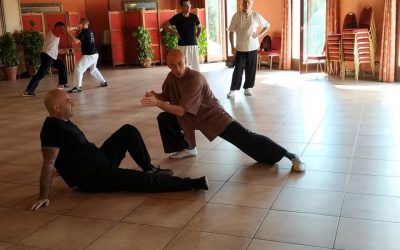 Raduno Tecnico Annuale degli Istruttori e Maestri della Scuola di Tai Chi Chuan CMC Italia