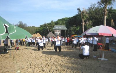 Taiji Festival di Belgioioso