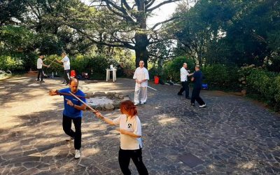 3° seminario di specializzazione Spada Tai Chi