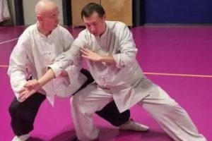 M.Biondi durante la pratica del Tui Shou San Shou